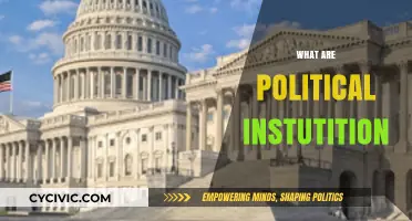 Understanding Political Institutions: Foundations, Functions, and Global Impact