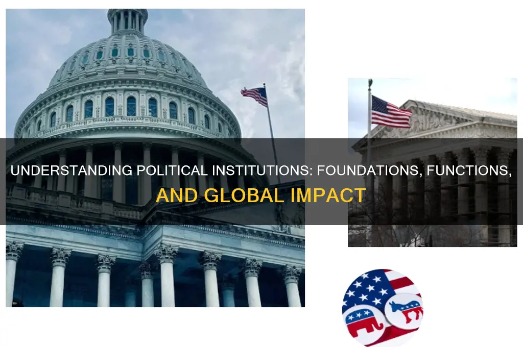 what are political instutition