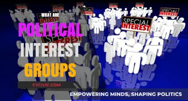 Understanding Political Interest Groups: Power, Influence, and Advocacy Explained