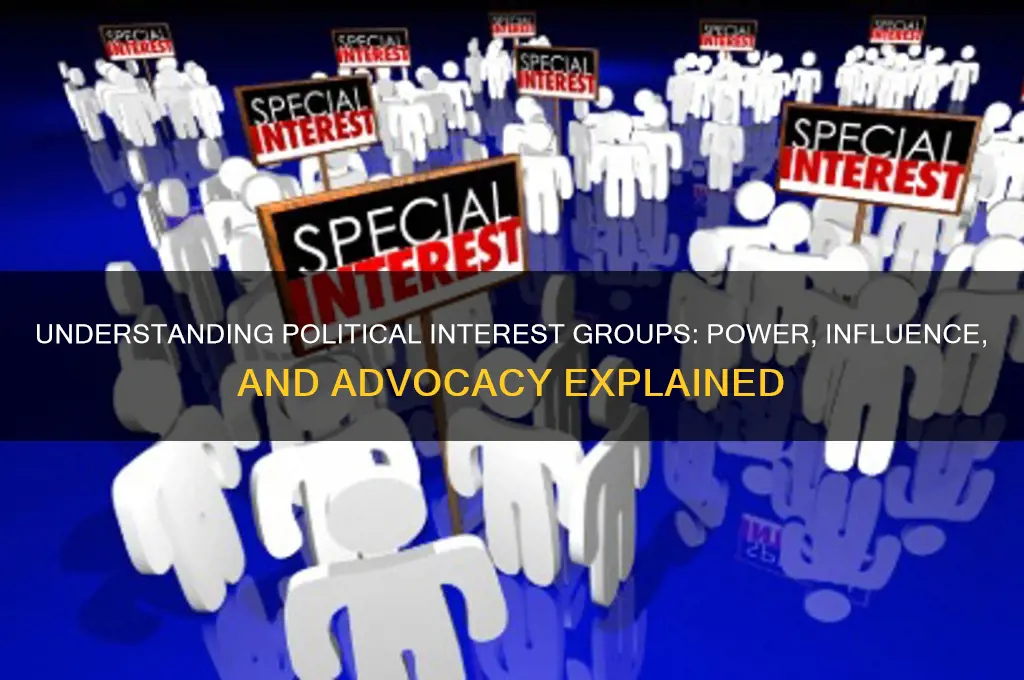 what are political interest groups