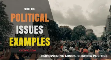 Understanding Key Political Issues: Examples and Their Global Impact
