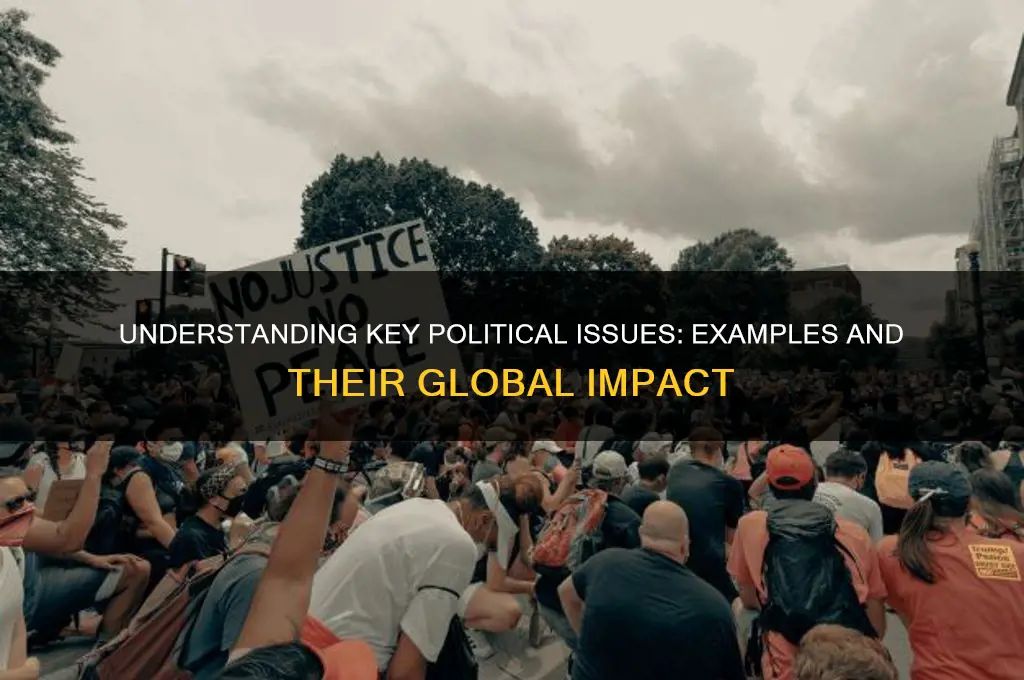 what are political issues examples