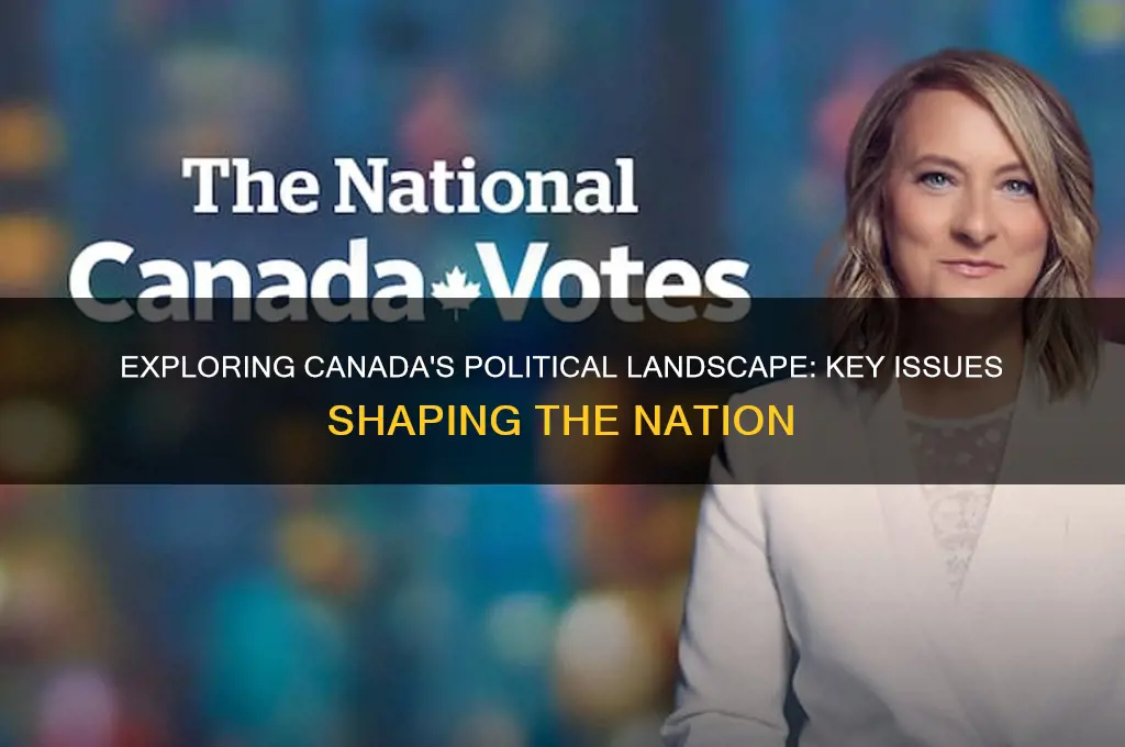 what are political issues in canada