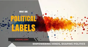 Understanding Political Labels: Decoding the Spectrum of Ideologies and Beliefs