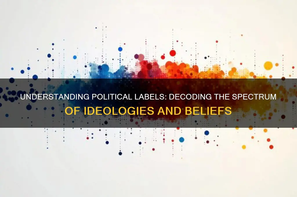 what are political labels