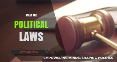 Understanding Political Laws: Foundations, Functions, and Impact on Society