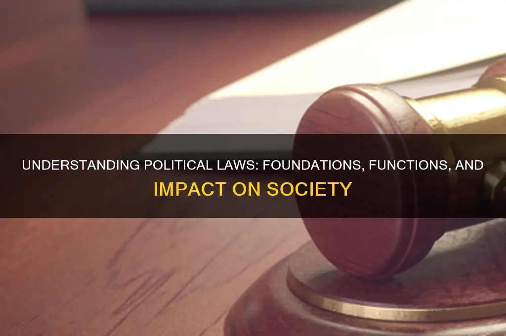 what are political laws