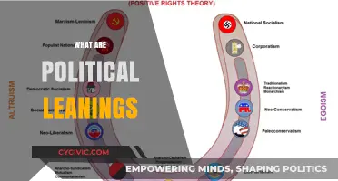 Understanding Political Leanings: Ideologies, Beliefs, and Their Impact on Society
