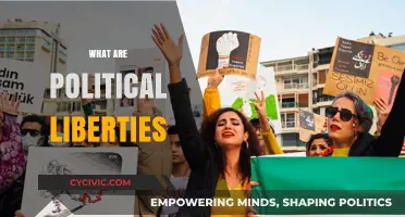 Understanding Political Liberties: Freedom, Rights, and Democratic Governance Explained
