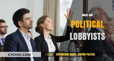Understanding Political Lobbyists: Influence, Power, and Policy Shaping Explained