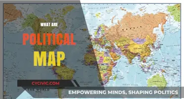 Understanding Political Maps: Boundaries, Governments, and Global Representation