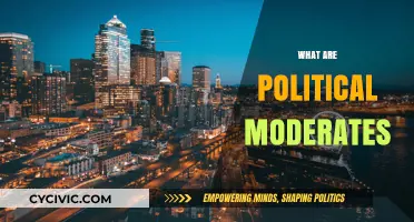Understanding Political Moderates: Bridging Divides in Polarized Politics