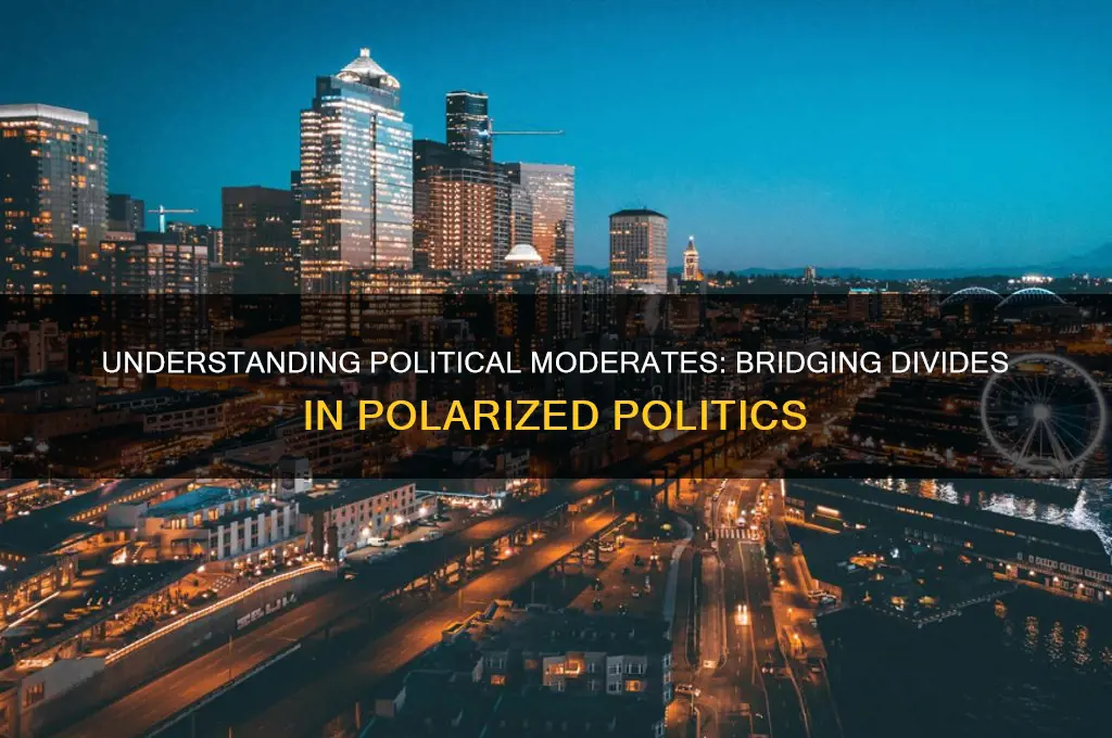 what are political moderates