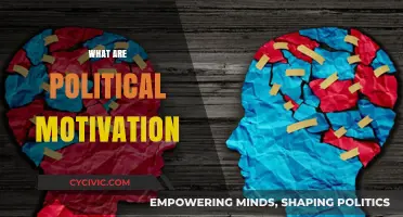 Understanding Political Motivation: Driving Forces Behind Ideologies and Actions