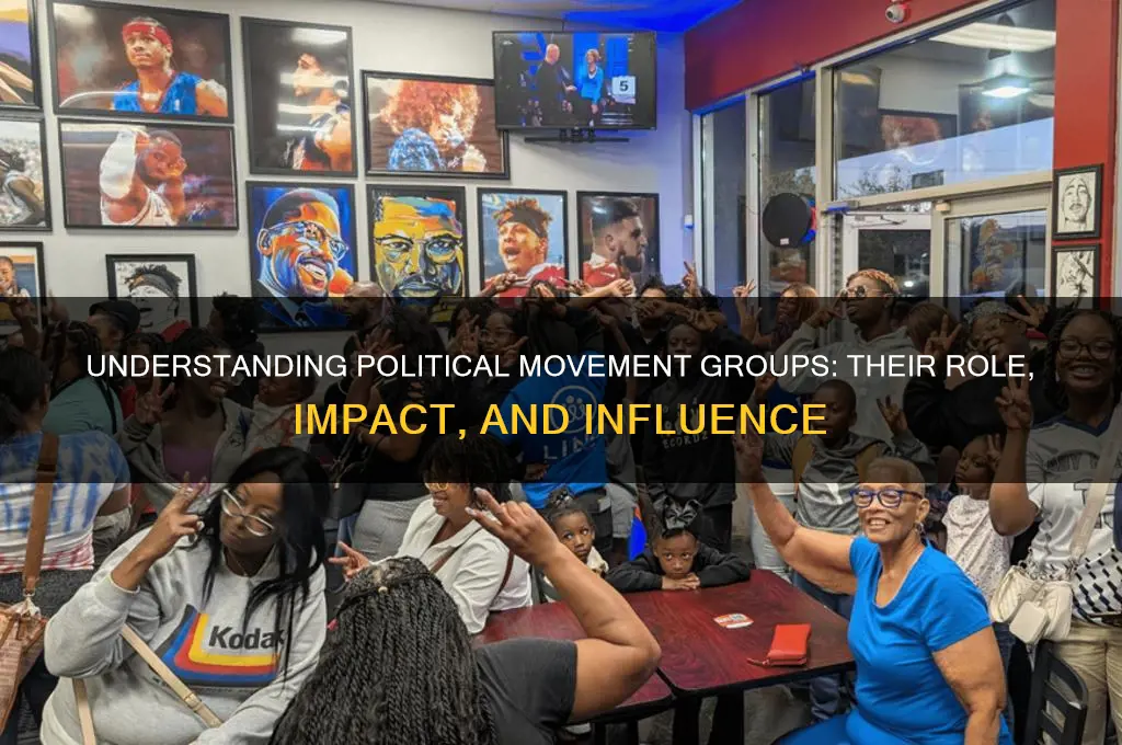 what are political movement groups