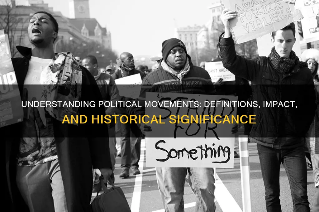 what are political movements