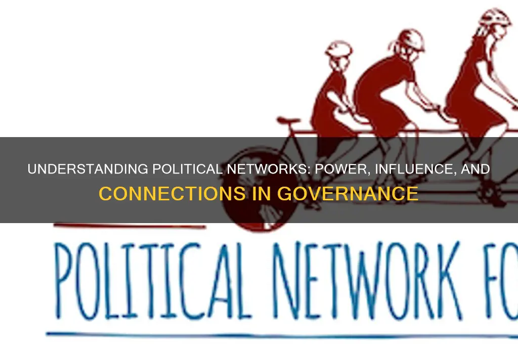 what are political networks