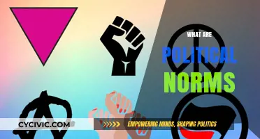 Understanding Political Norms: Unwritten Rules Shaping Governance and Society