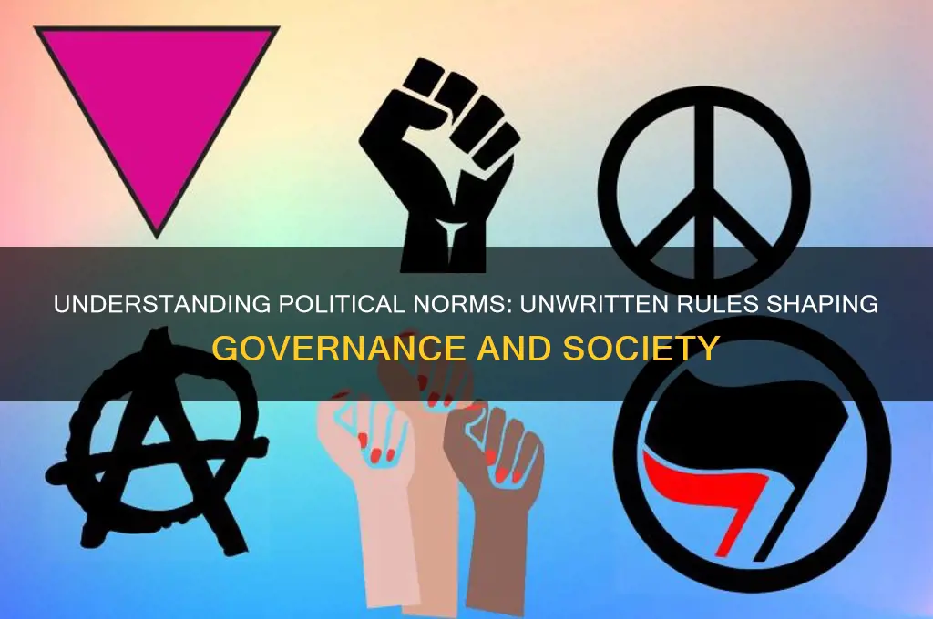 what are political norms