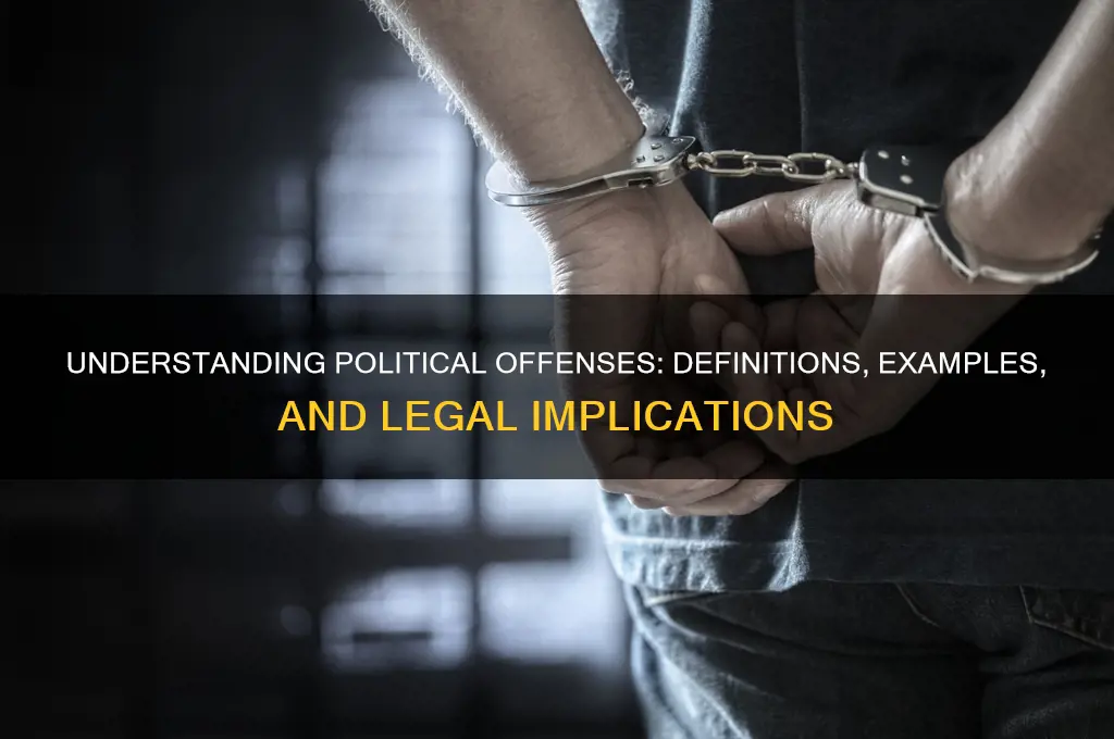 what are political offenses