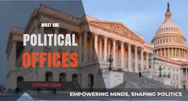 Understanding Political Offices: Roles, Responsibilities, and Their Impact on Governance