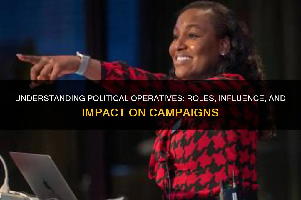 what are political operatives
