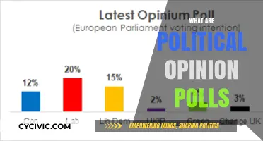 Understanding Political Opinion Polls: Insights, Methods, and Impact