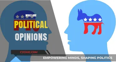 Understanding Political Opinions: Shaping Beliefs, Society, and Governance