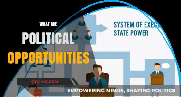 Unlocking Political Opportunities: Strategies for Social Movements and Change