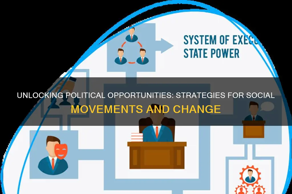 what are political opportunities