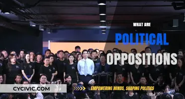 Understanding Political Oppositions: Roles, Functions, and Impact on Democracy