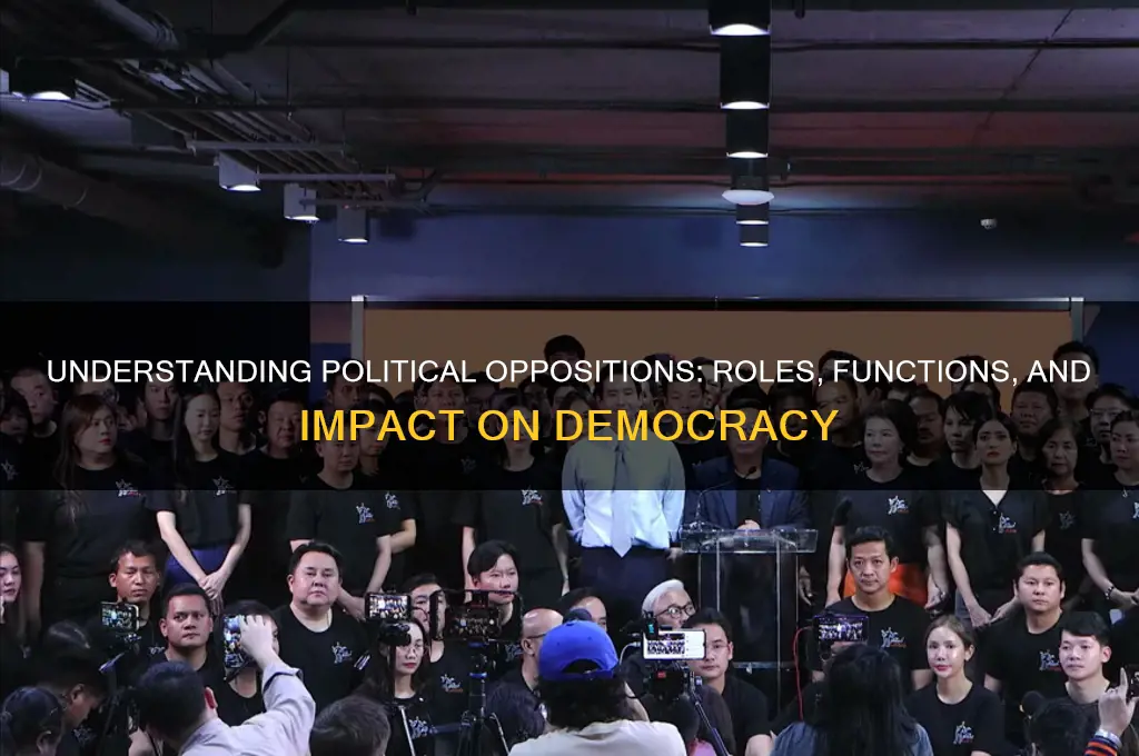 what are political oppositions