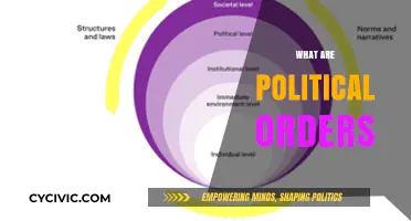 Understanding Political Orders: Foundations, Structures, and Global Impact Explained