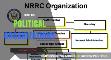 Understanding Political Organizations: Structure, Roles, and Global Influence Explained