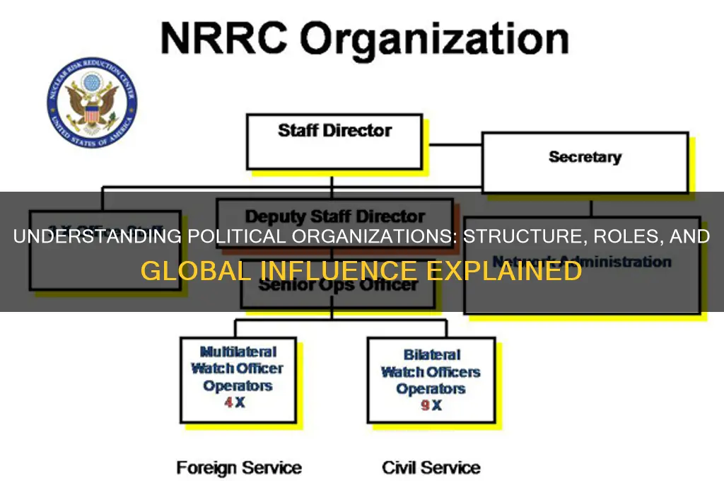 what are political organizations