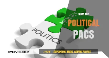 Understanding Political PACs: Influence, Funding, and Impact on Elections