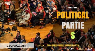 Understanding Political Parties: Roles, Structures, and Influence in Democracy