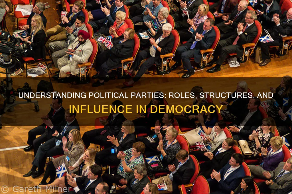 what are political partie s