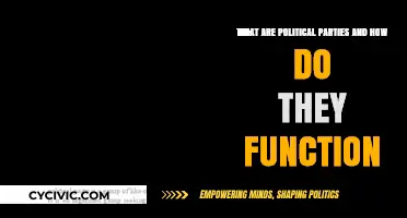 Understanding Political Parties: Structure, Roles, and Operational Mechanisms