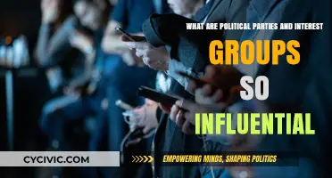 How Political Parties and Interest Groups Shape Policy and Power