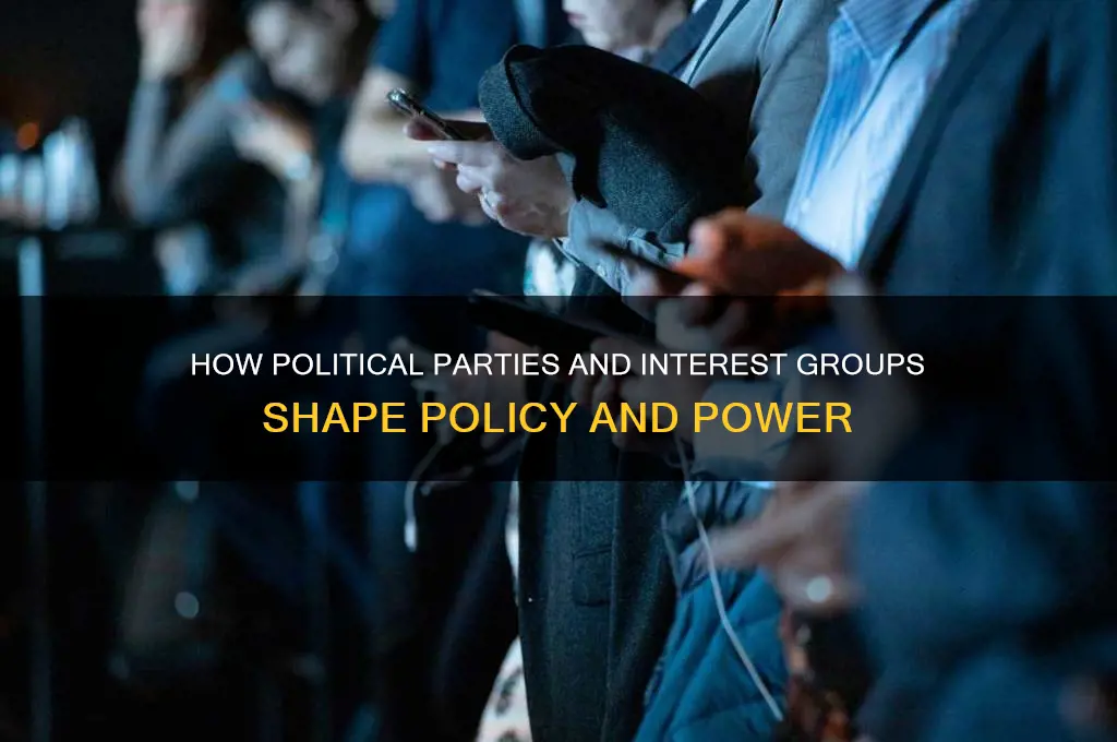 what are political parties and interest groups so influential