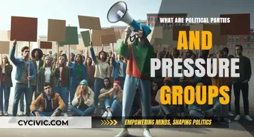 Understanding Political Parties and Pressure Groups: Roles, Functions, and Influence