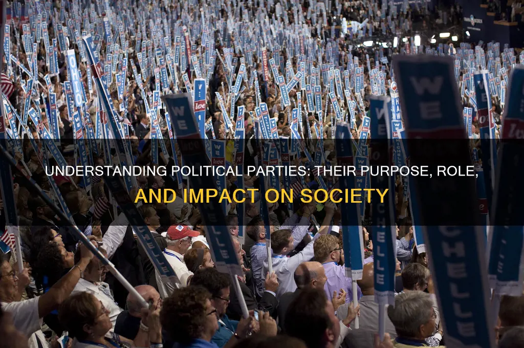 what are political parties for