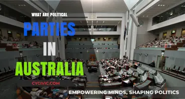 Understanding Australia's Political Parties: Structure, Roles, and Influence