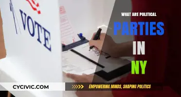 Understanding New York's Political Parties: Roles, Influence, and Impact