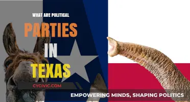 Understanding Texas Political Parties: Roles, Influence, and Key Players