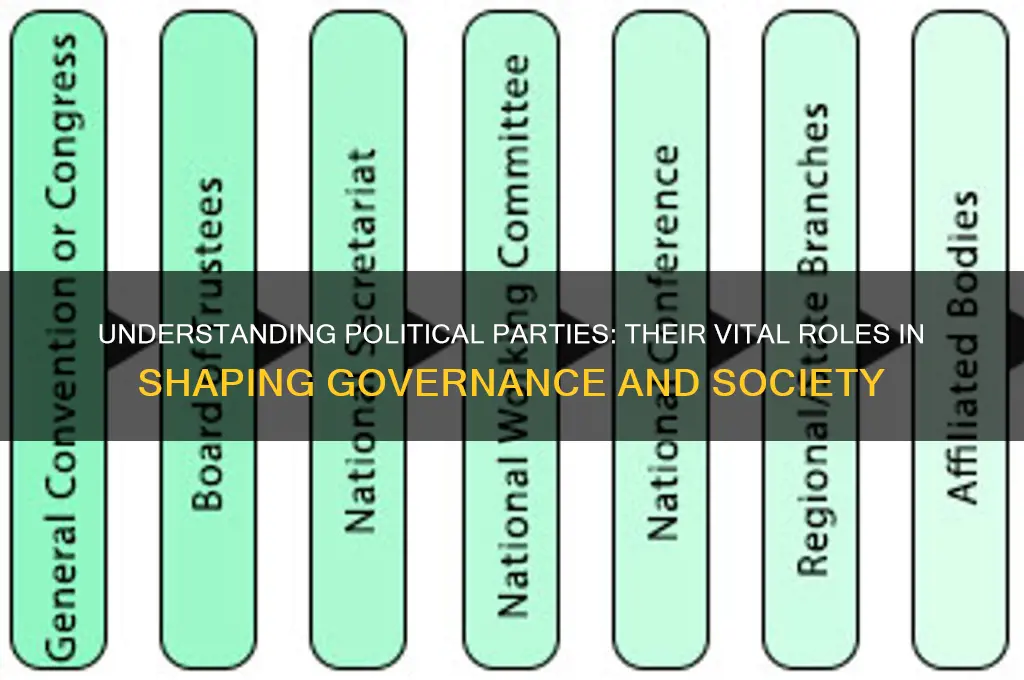 what are political parties roles