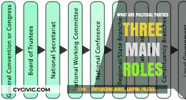 Understanding the Three Core Functions of Political Parties in Democracy