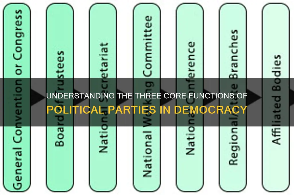 what are political parties three main roles