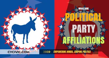 Understanding Political Party Affiliations: Identity, Ideology, and Influence Explained